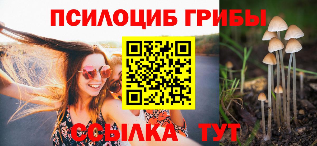 Псилоцибиновые грибы Cubensis Всеволожск