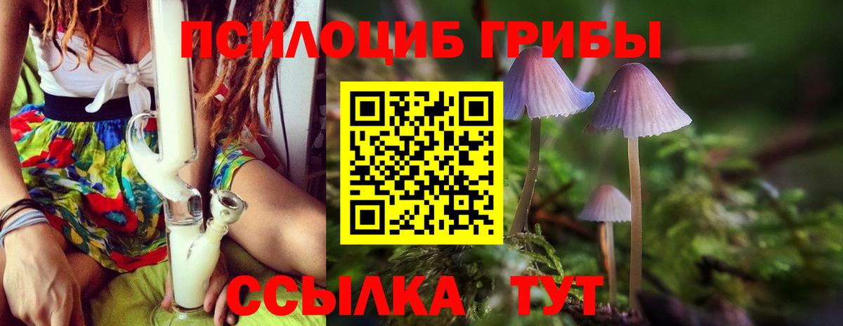 Всеволожск  Галлюциногенные грибы Magic Shrooms  Вход с VPN 